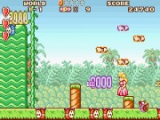 Super Mario Advance: Super Mario USA & Mario Brothers