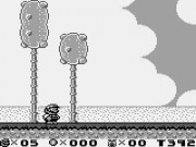 Super Mario Land 2:6 Golden Coins