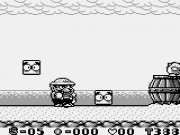 Wario Land: Super Mario Land 3